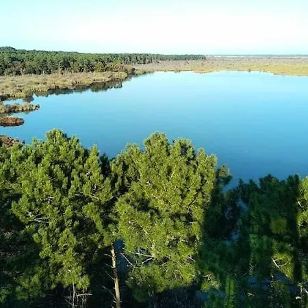 Βίλα Het Club - Charmante Maison Avec Jardin Dans La Pinede Pour 6 Personnes A Ocean Mae-0401 *